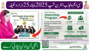 CM Punjab Internship Program 2025 – Earn Rs.25,000 Monthly Stipend