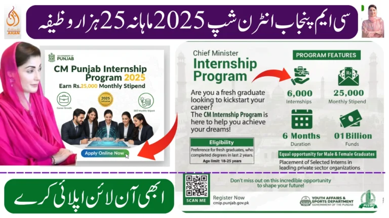 CM Punjab Internship Program 2025 – Earn Rs.25,000 Monthly Stipend
