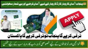 Punjab Asaan Karobar Card 2025 - Apply Now for Easy Business Loans and Benefits
