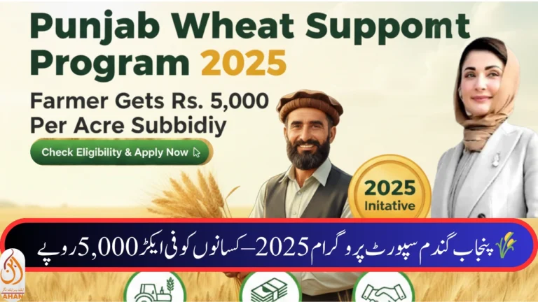Punjab Wheat Support Program 2025 – Farmer Gets Rs. 5,000 Per Acre Subsidy